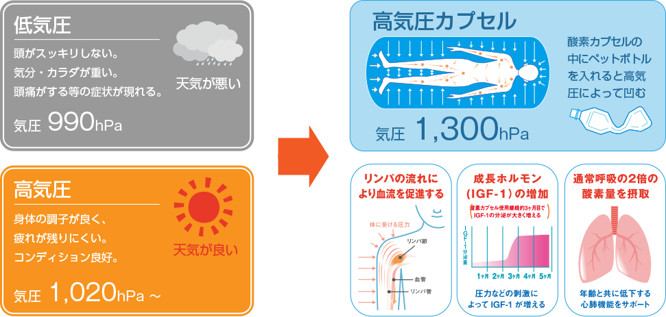 酸素カプセル エテルノ株式会社 ゴルフ練習場の集客 広告 経営コンサルティング